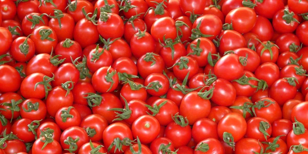 Pomodoro cover 1