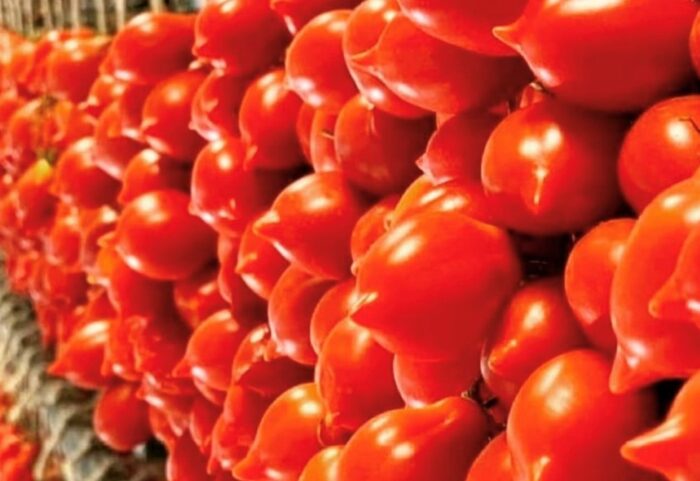 Pomodoro cover