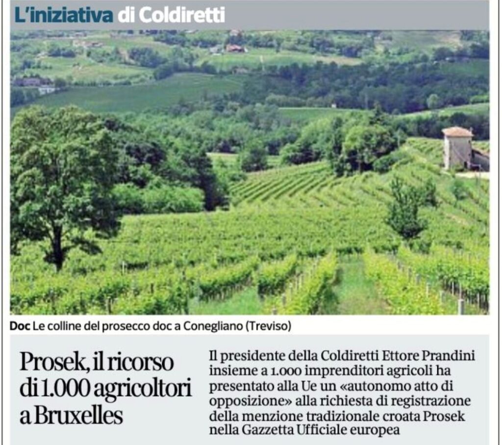 immagine1