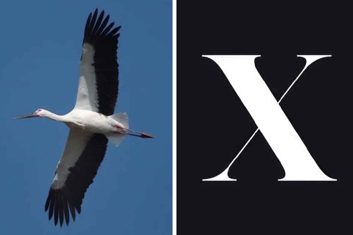 Pubblicita-wwf-x-twitter