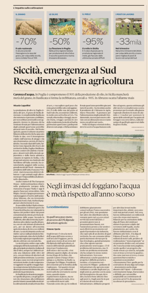 immagine1