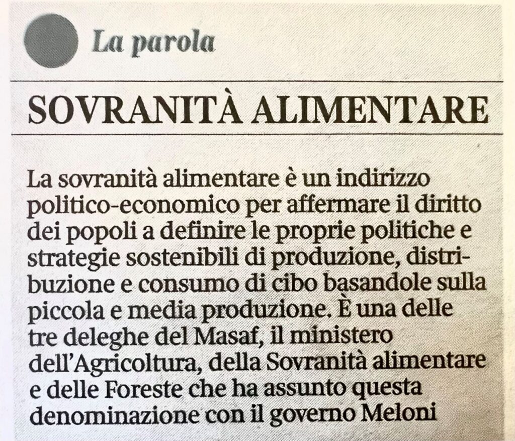 immagine2