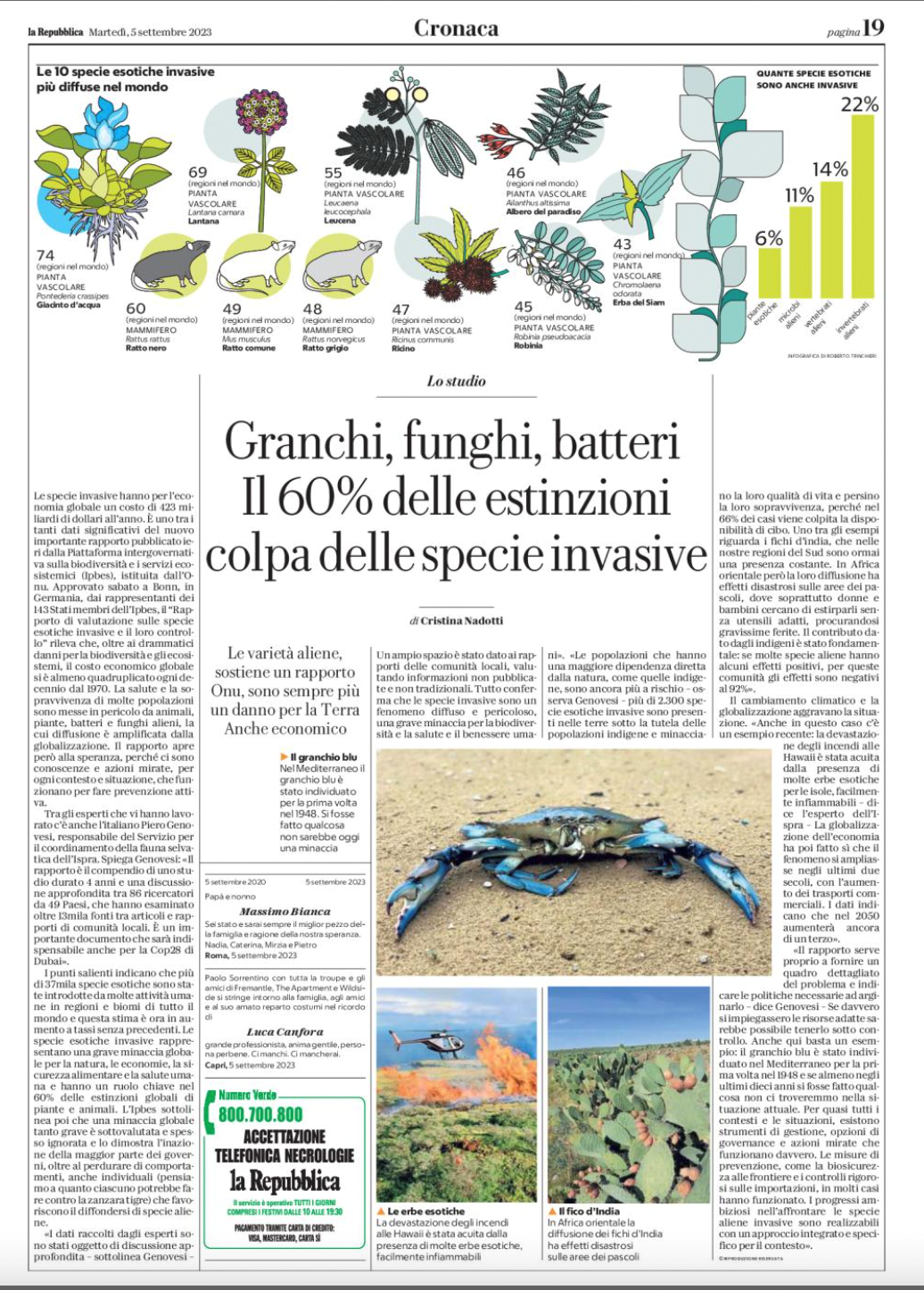 Specie invasive granchio blu Repubblica 5 settembre 2023