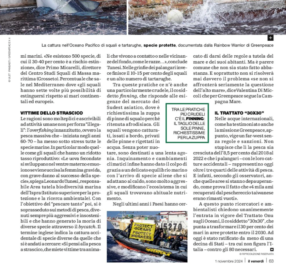immagine2