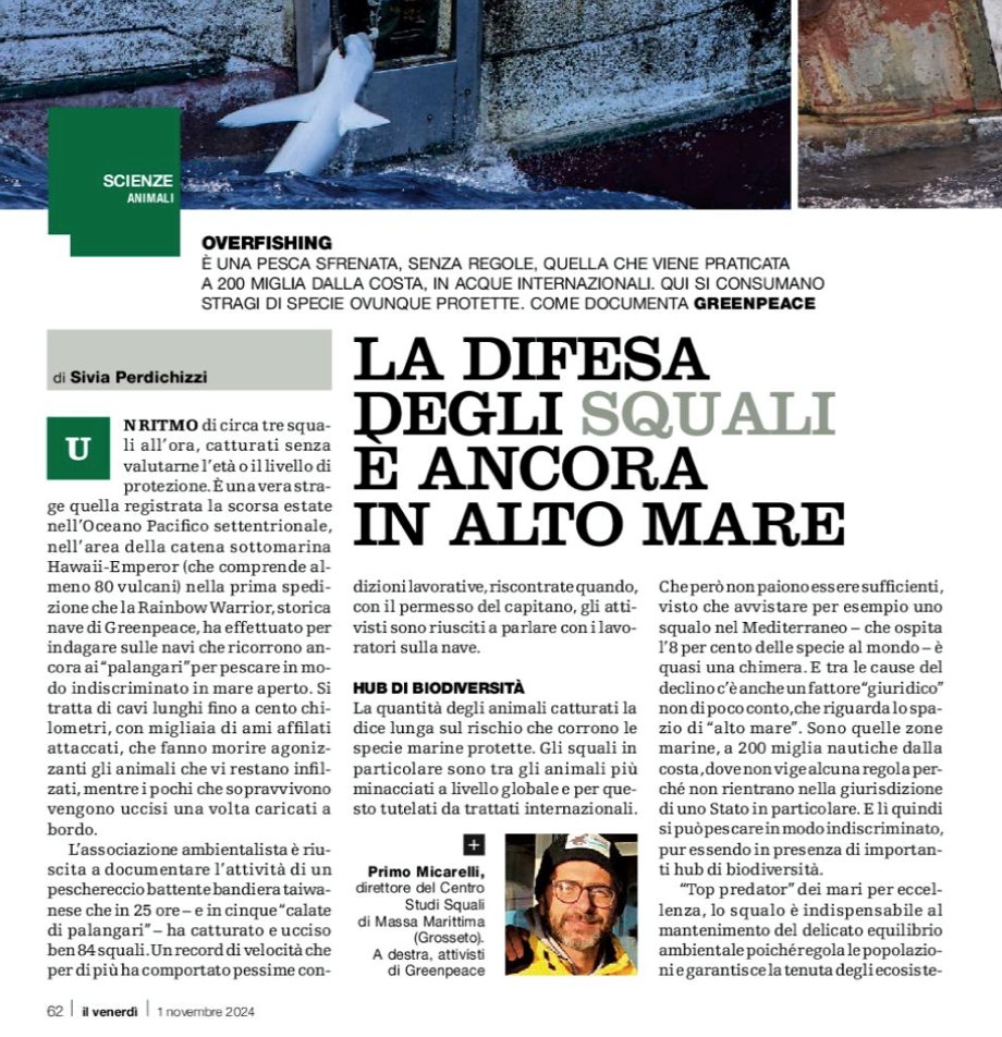immagine1