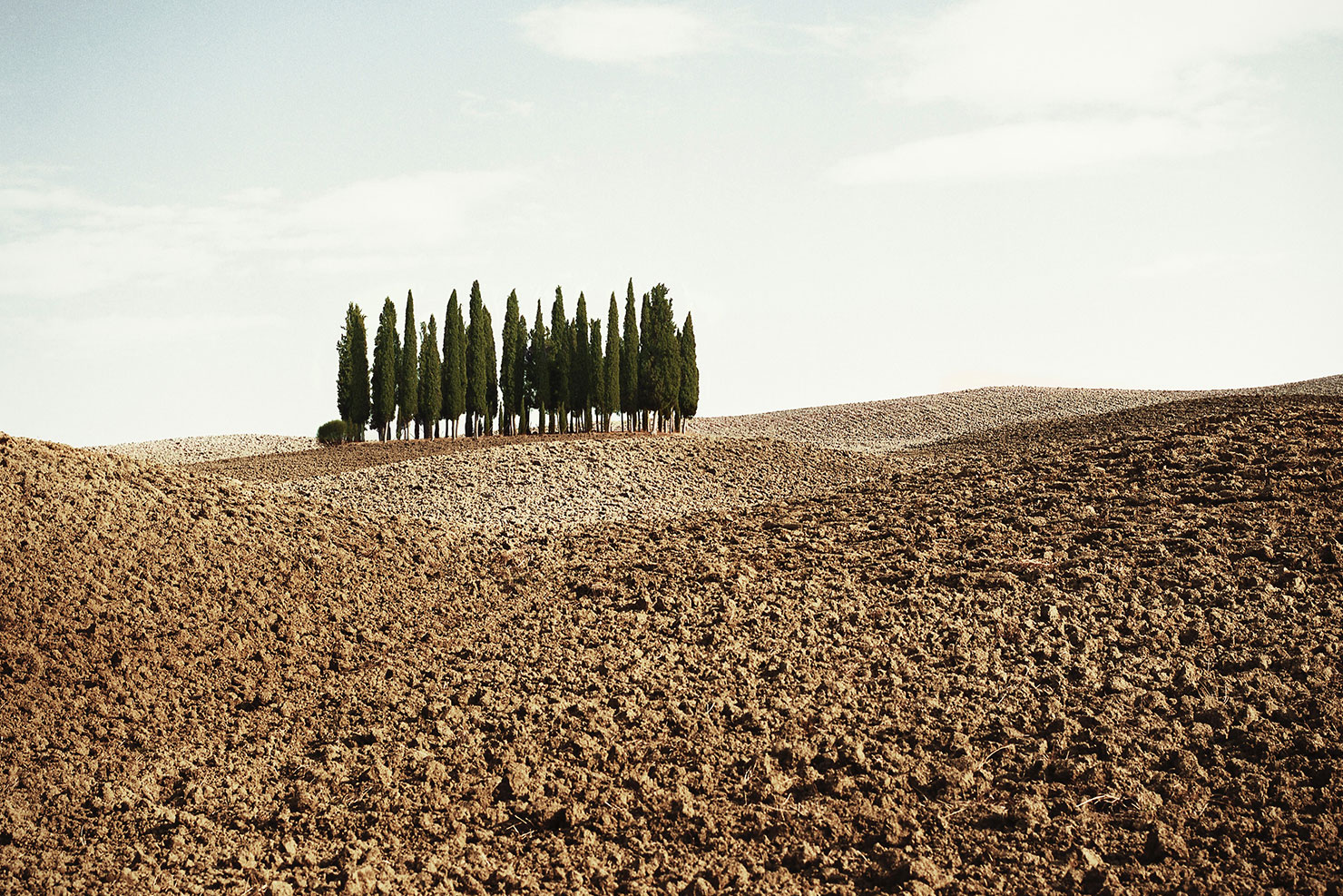 Toscana-agricoltura-LT