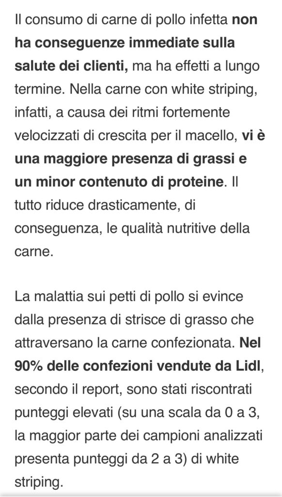 immagine1