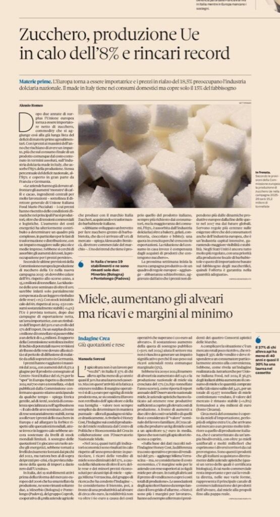 immagine1