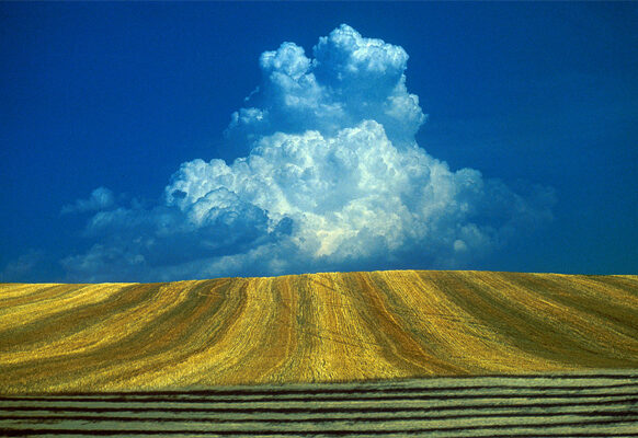 agricoltura-16
