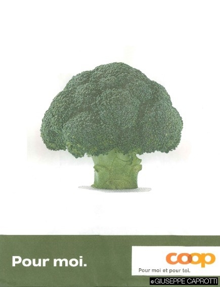 albero o broccolo-pdf