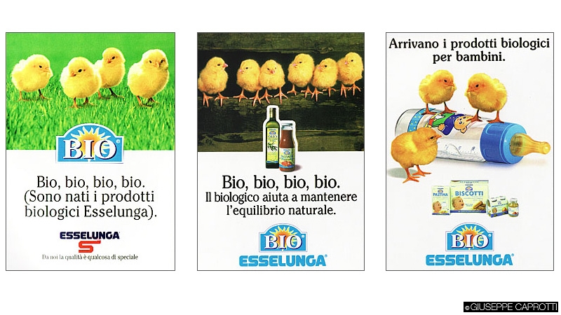 immagine2
