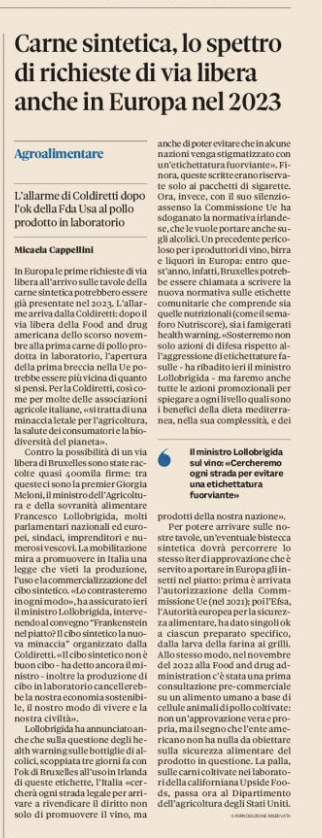immagine1