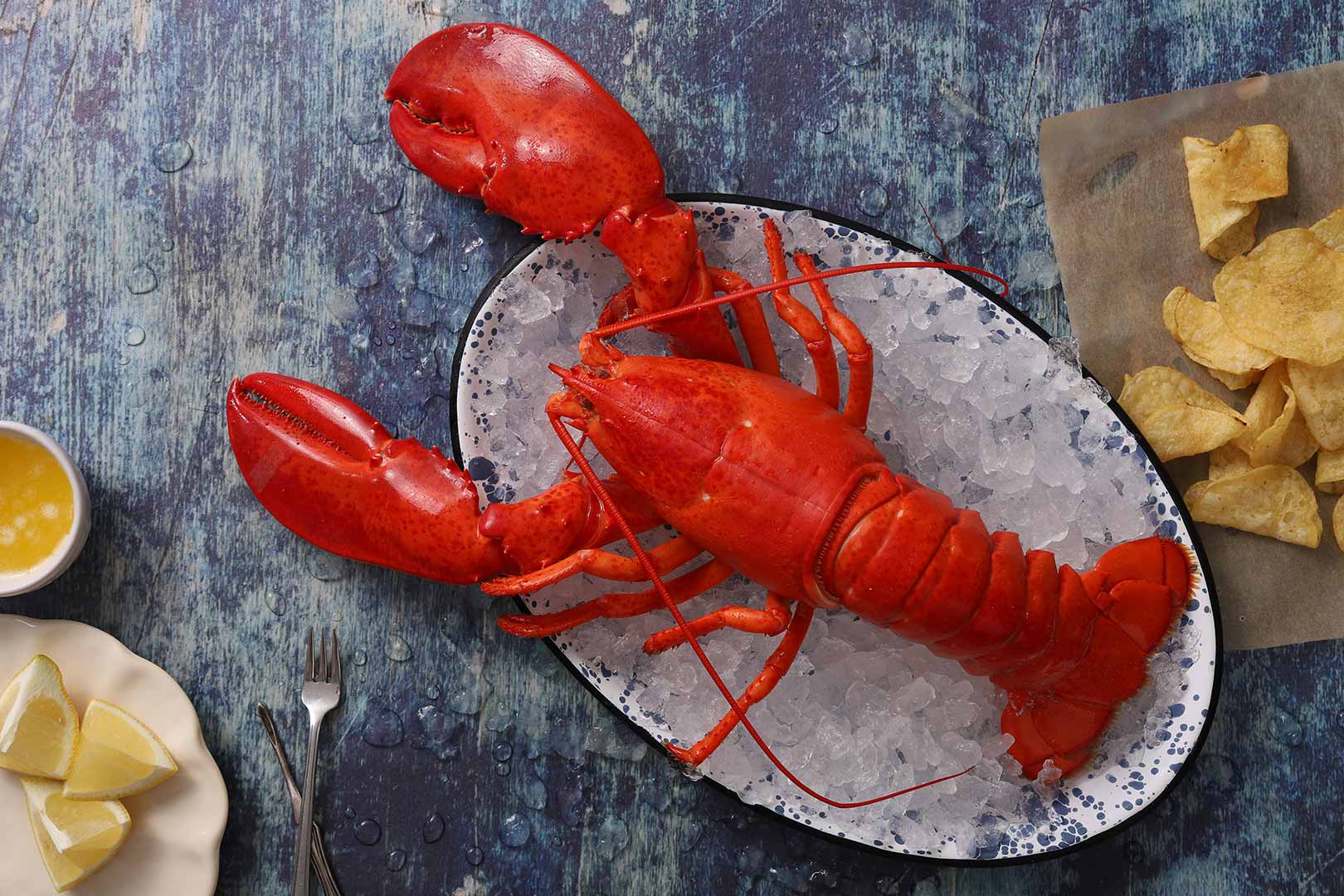 cooked-maine-lobster