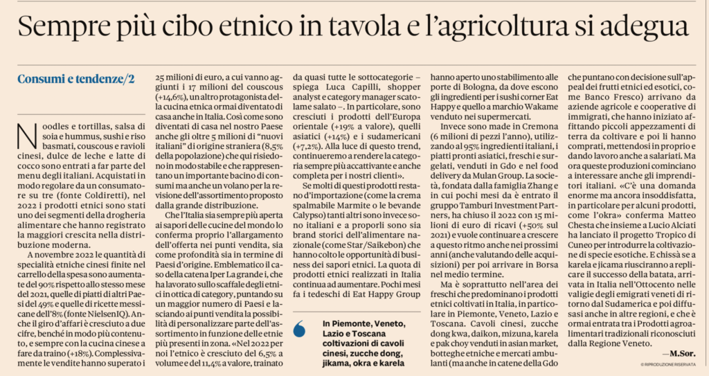 immagine2