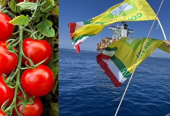 pomodoro-cinese