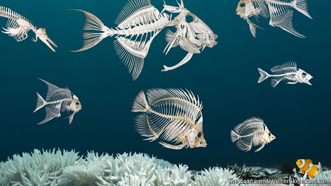 the economist ocean warming