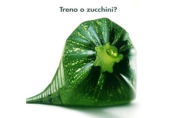 treno-zucchini2