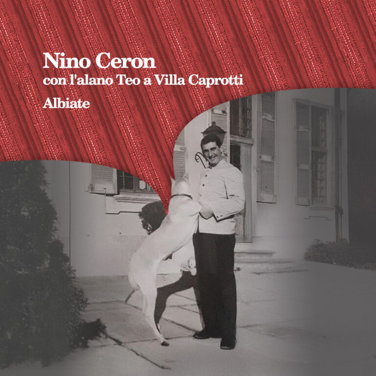 Nino Ceron Teo a Villa Caprotti, Albiate