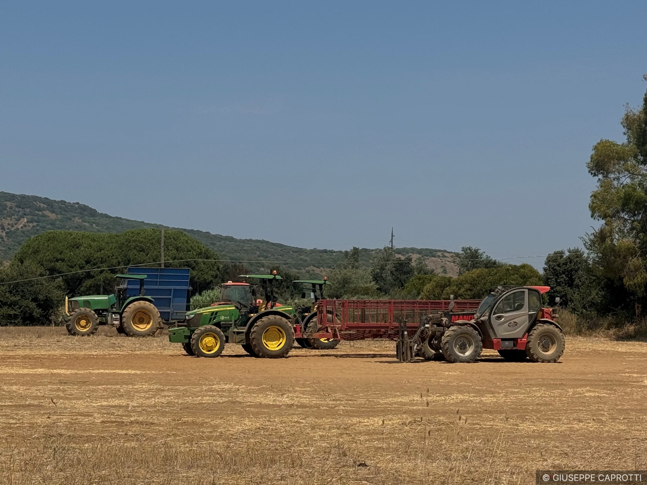 Agricoltura cover Toscana 2026