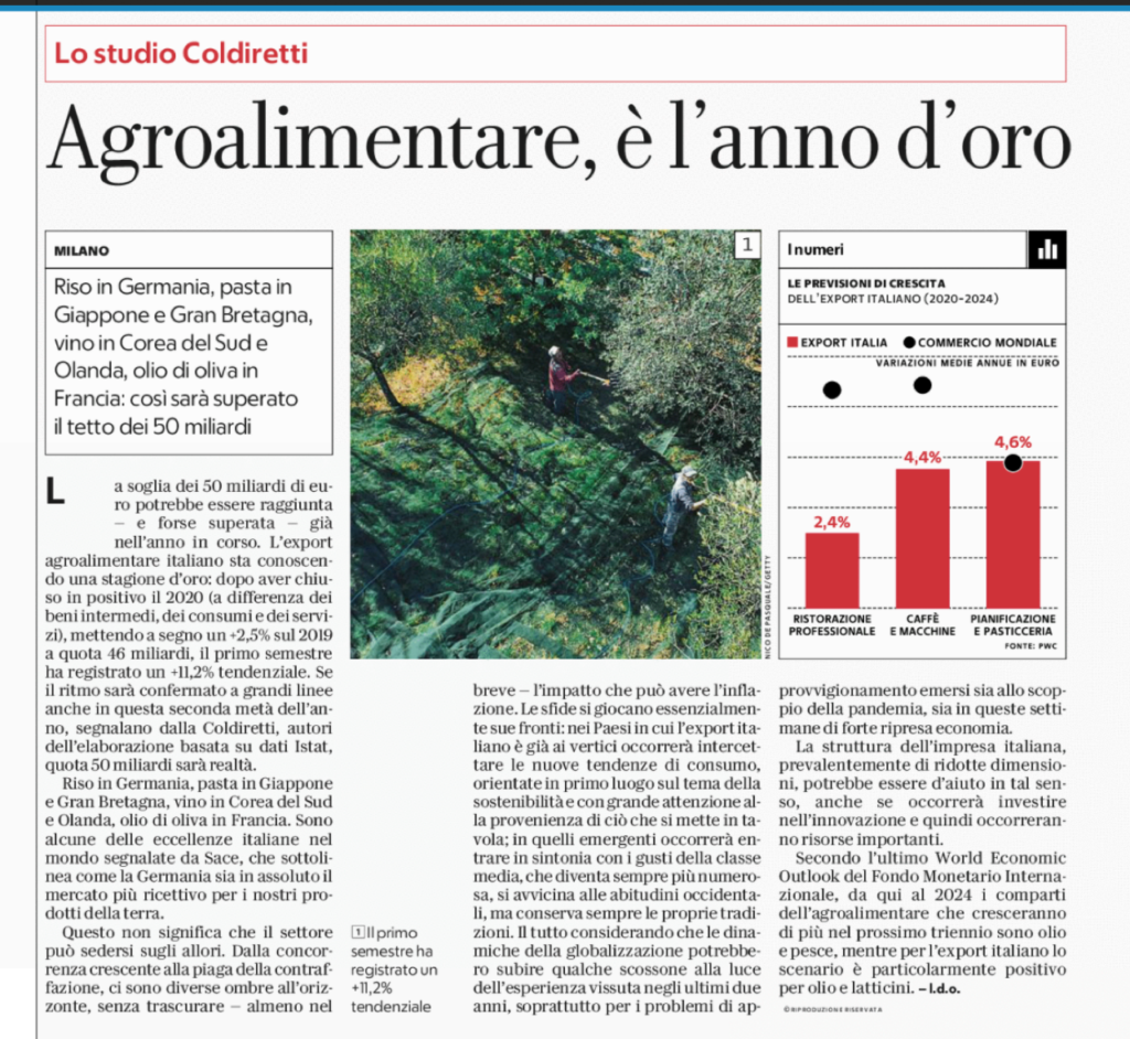 immagine1