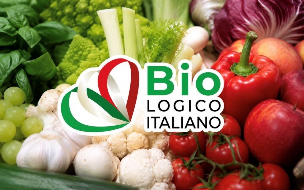 immagine1