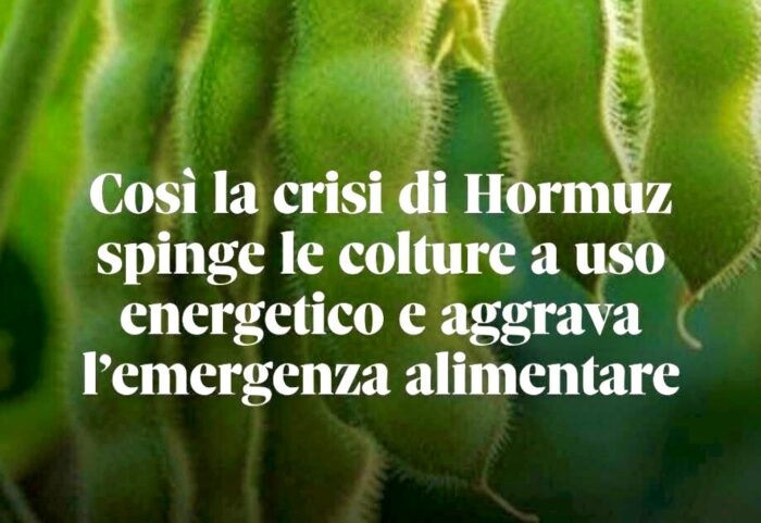 Crisi Hormuz agricoltura cover