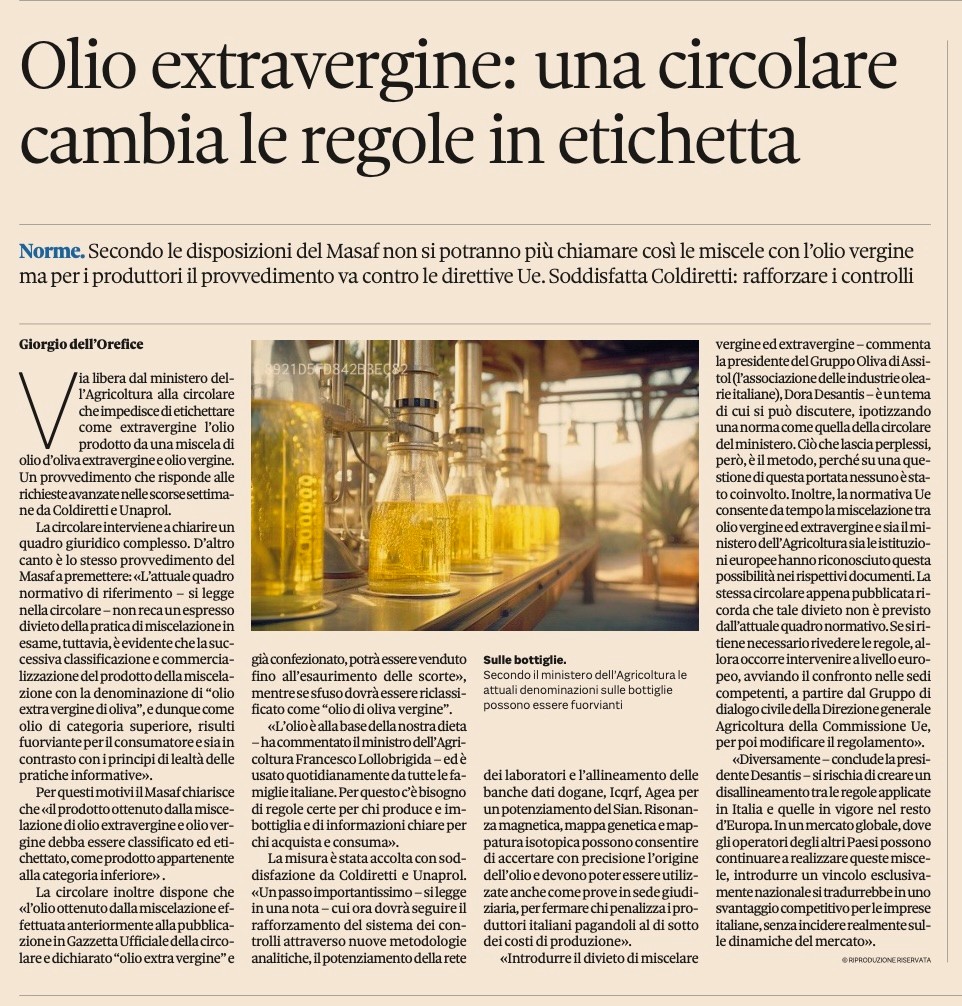 immagine1