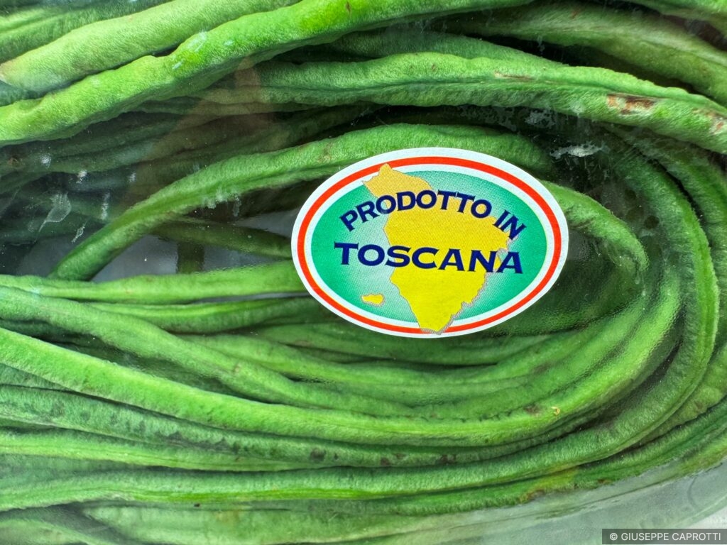 immagine2