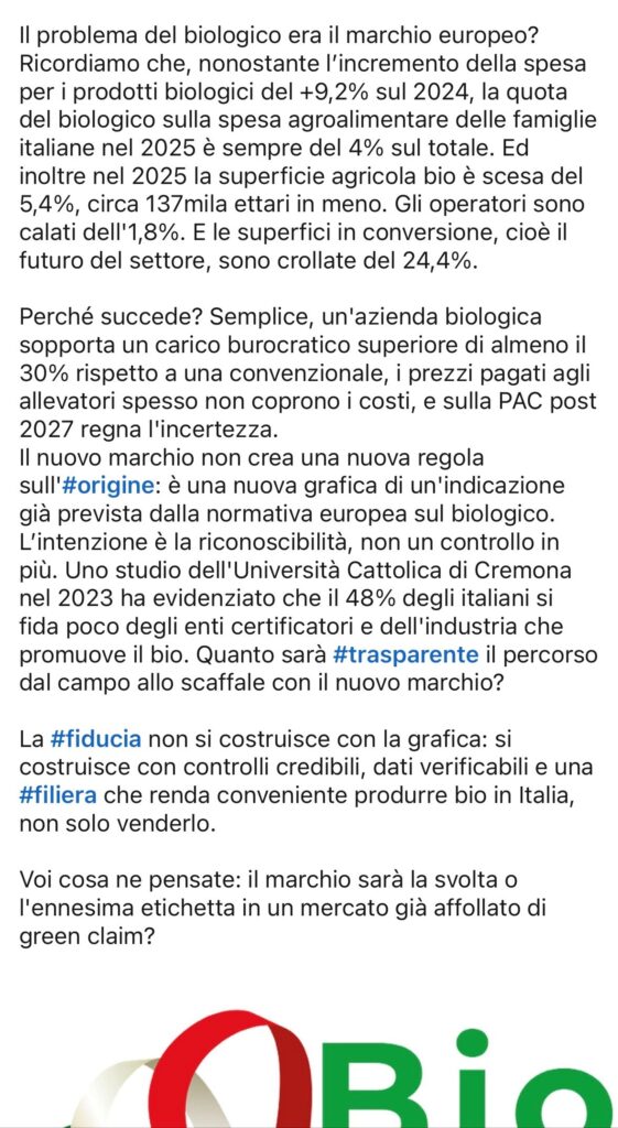 immagine2