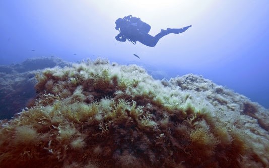 La-mediterranèe-foto