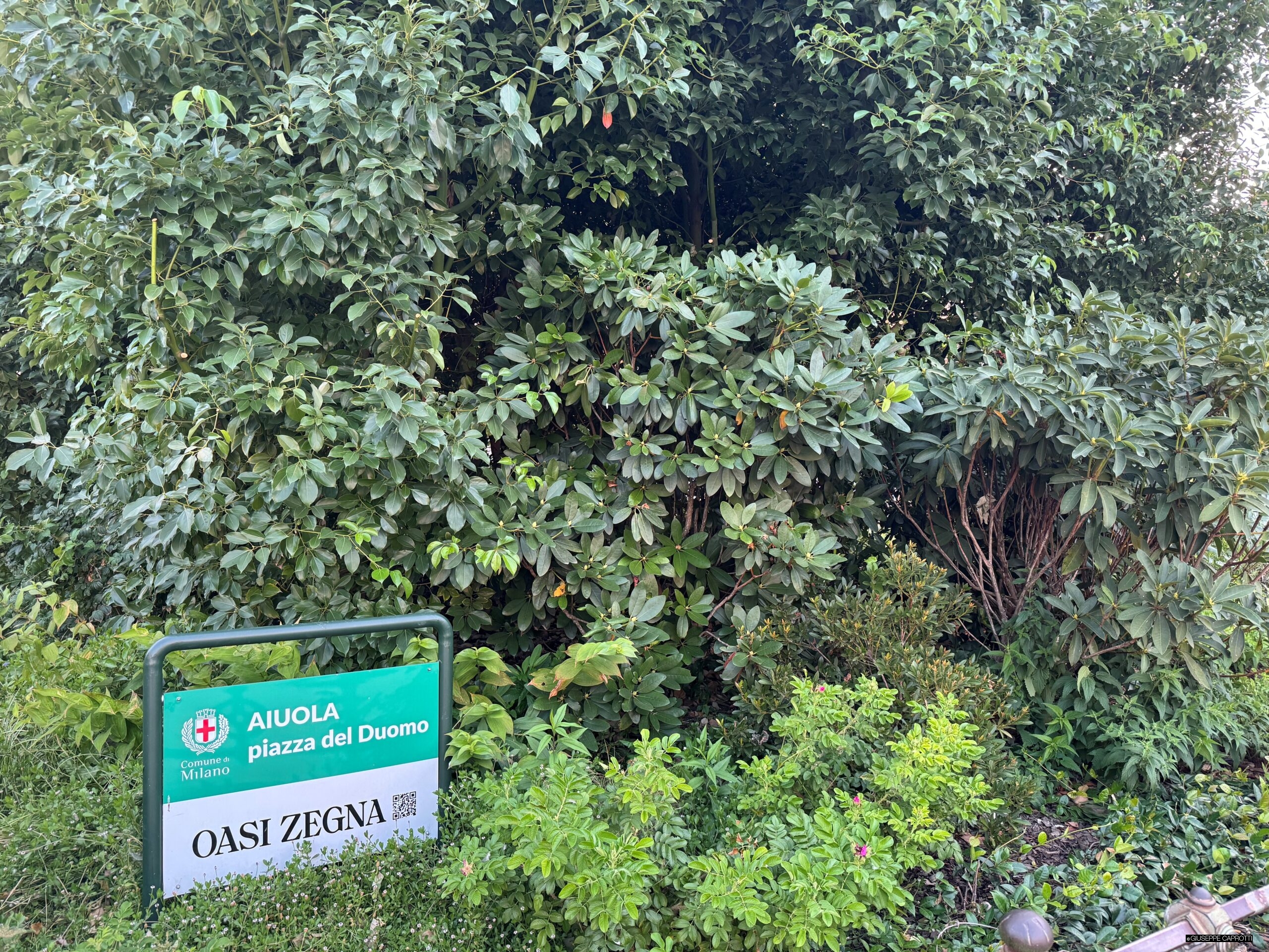 Milano oasi Zegna in piazza Duomo luglio 2025