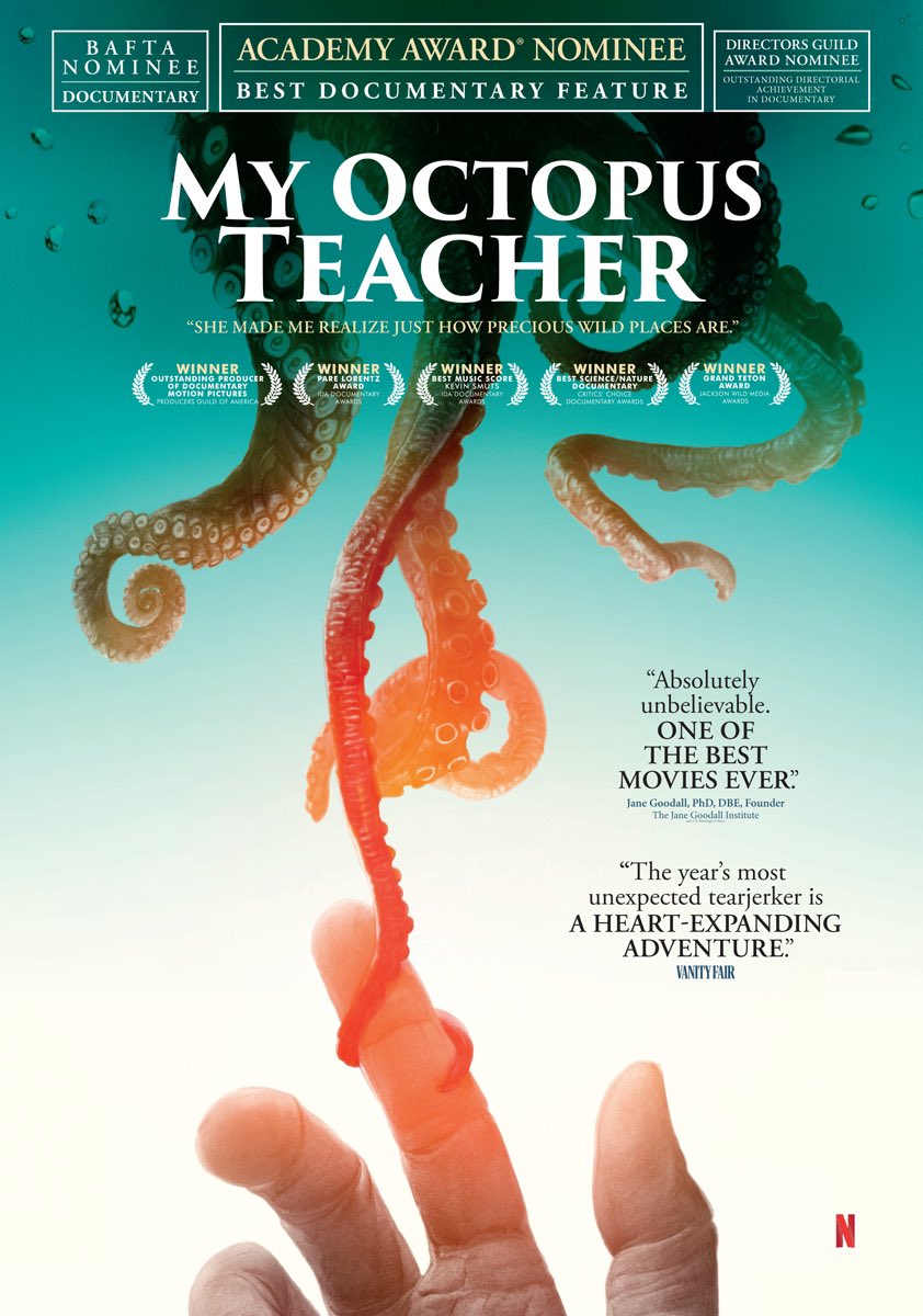 My Octopus Teacher 2