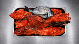 Pesce Filicudi 1