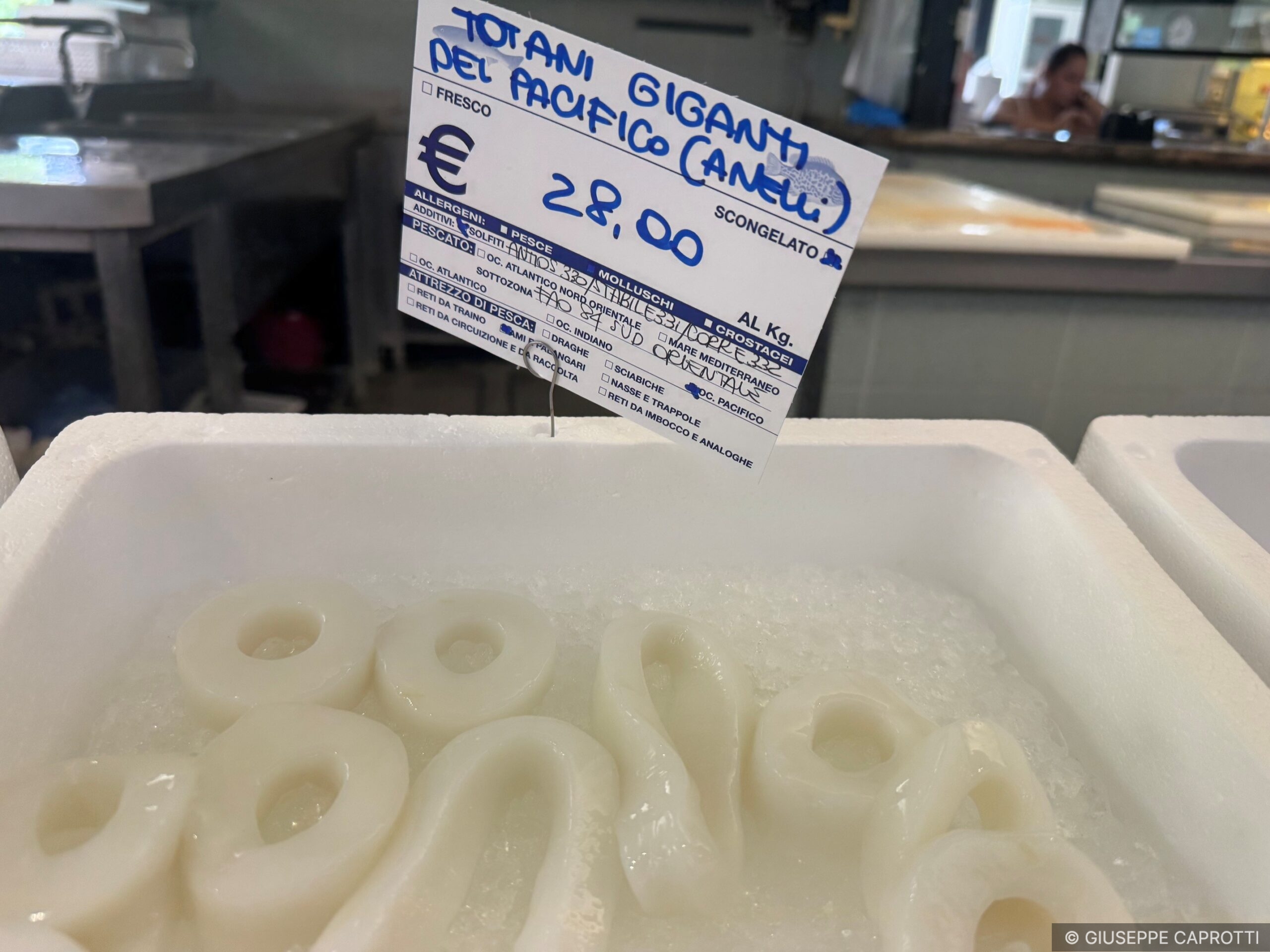 Pesce totani giganti degongelati pescheria Biassono giugno 2026