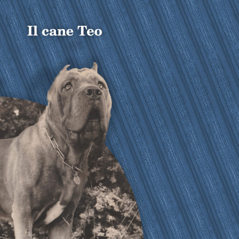 Il cane Teo