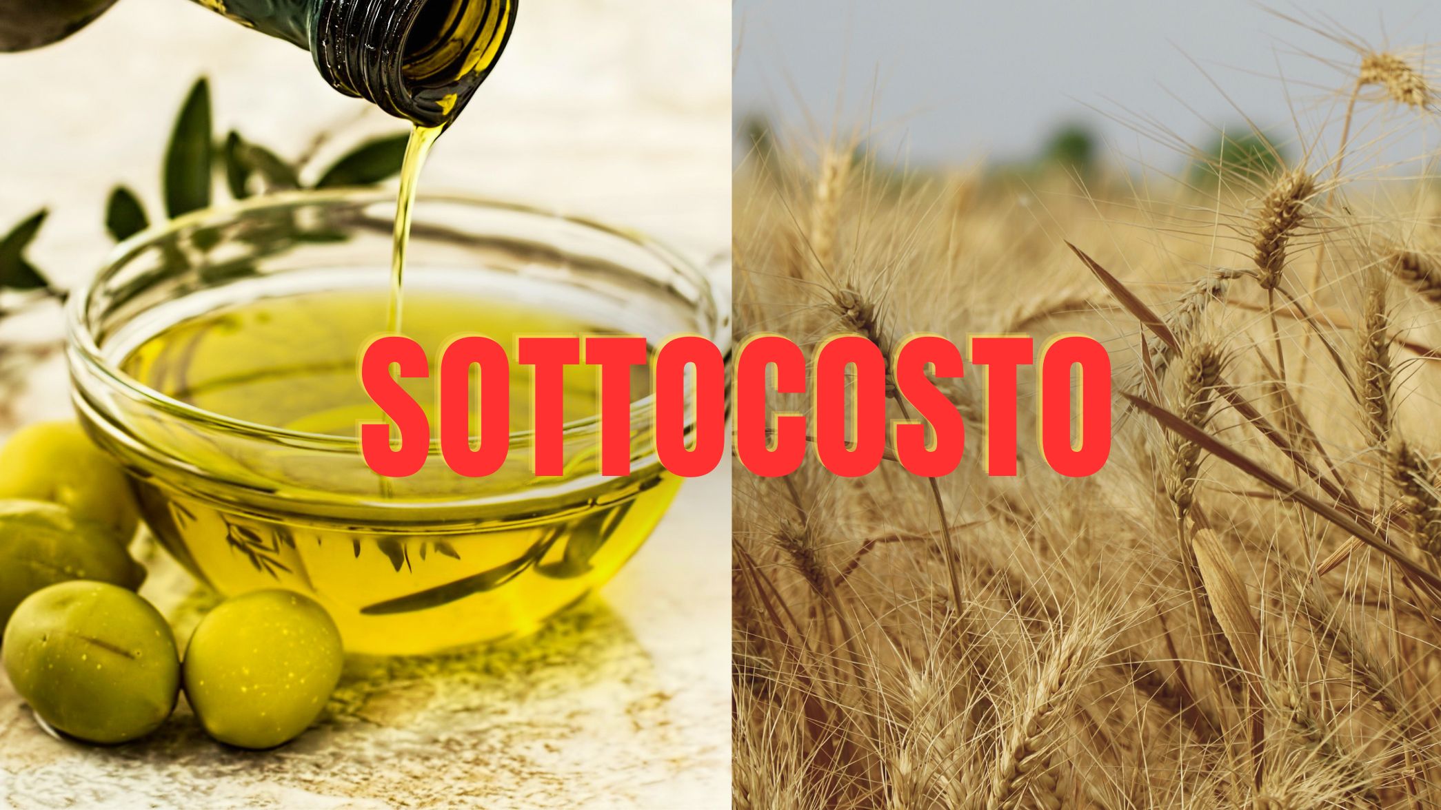 Sottocosto copia