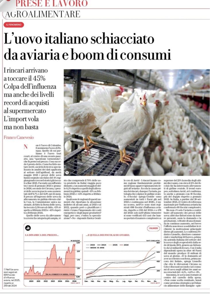 immagine2