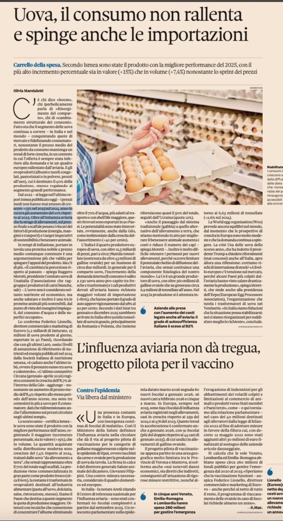 immagine3