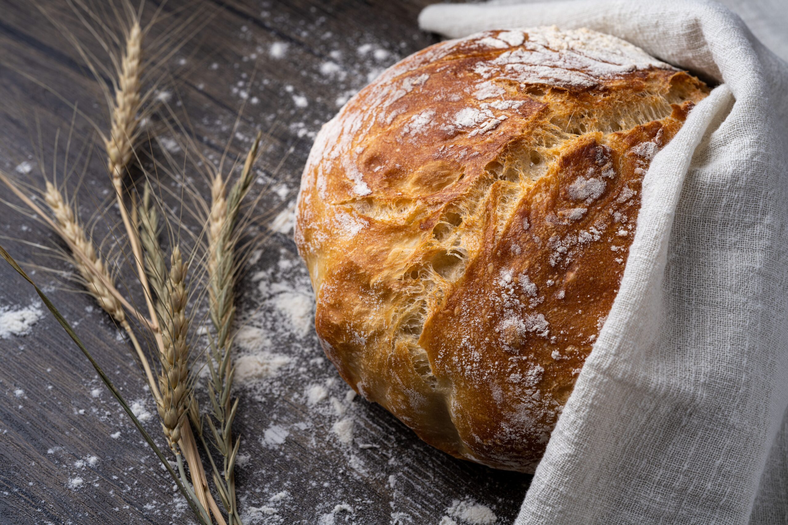 Pane e frumento