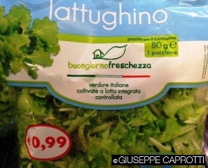 Unes lattughino