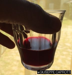 agricoltura conservativa vino giuseppe oglio