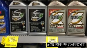 round up cover agosto 2016 promo walmart